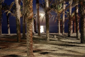 A beach with palm trees and a calm sea under a dark sky. - Stylish Mediterranean Duplex Near the Beach (Torremolinos)