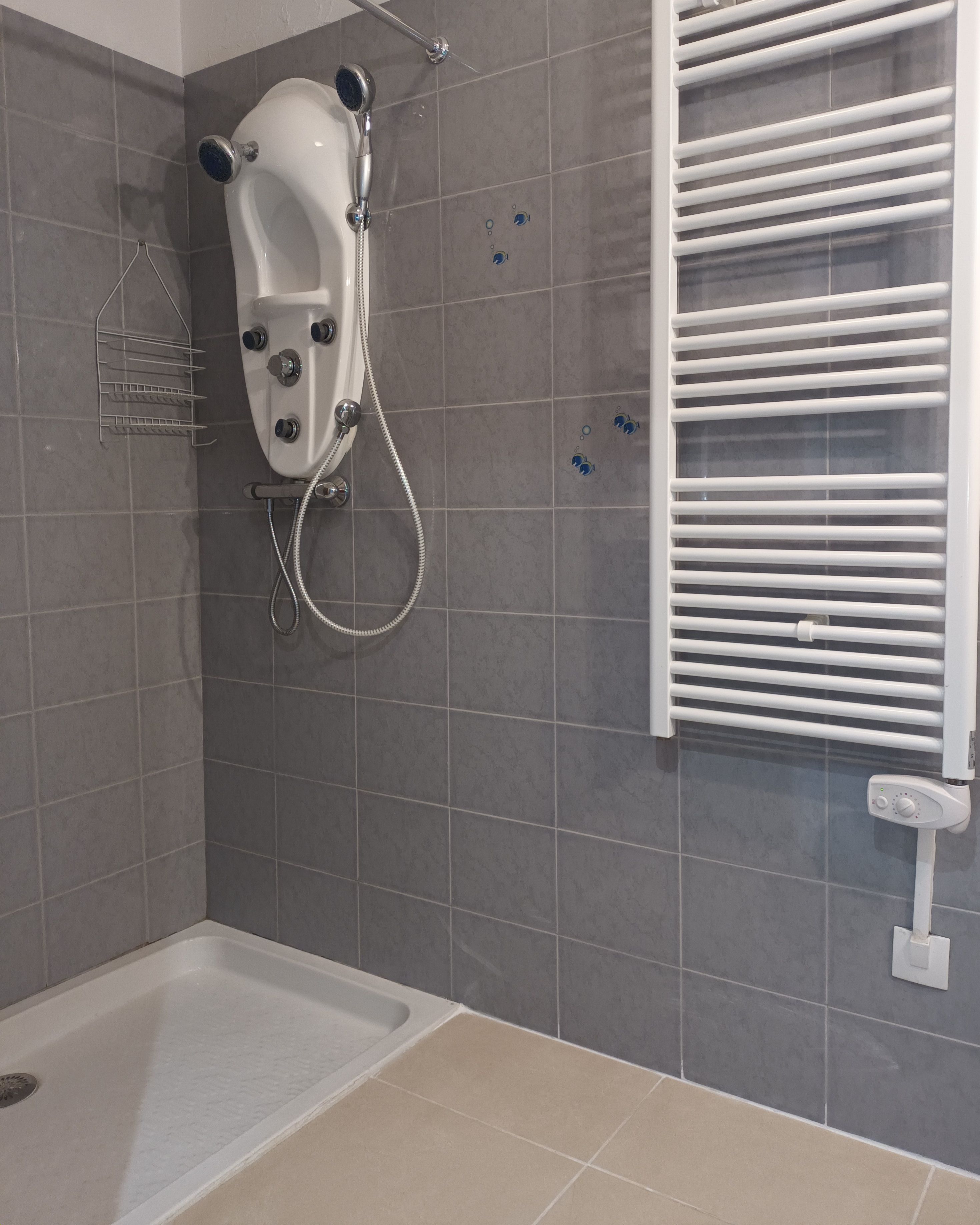 A bathroom with a shower, a bathtub, and a towel rack.