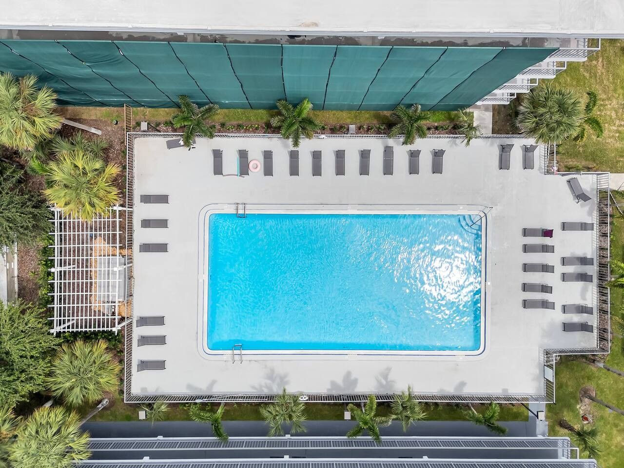 A rooftop swimming pool with a surrounding deck, lounge chairs, and palm trees.
