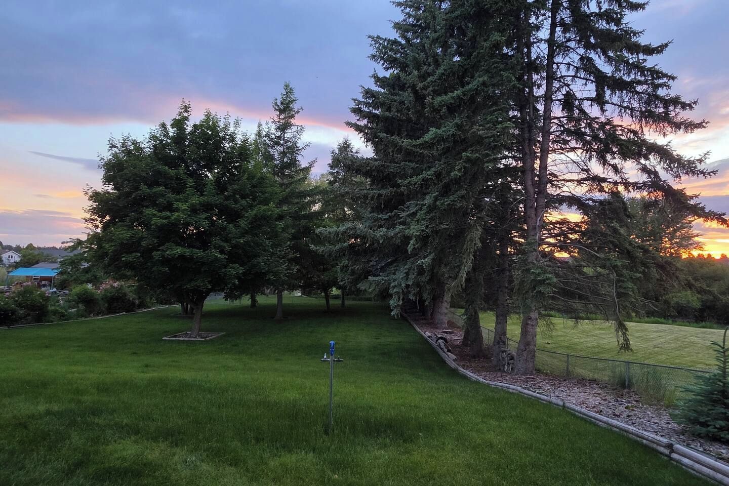 A grassy area with trees and a fence.