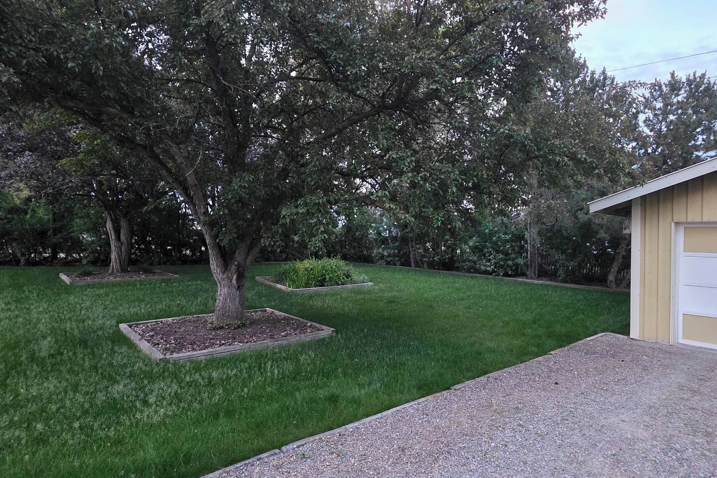 Une propriété résidentielle dotée d’une pelouse bien entretenue, d’un grand arbre et d’un garage.