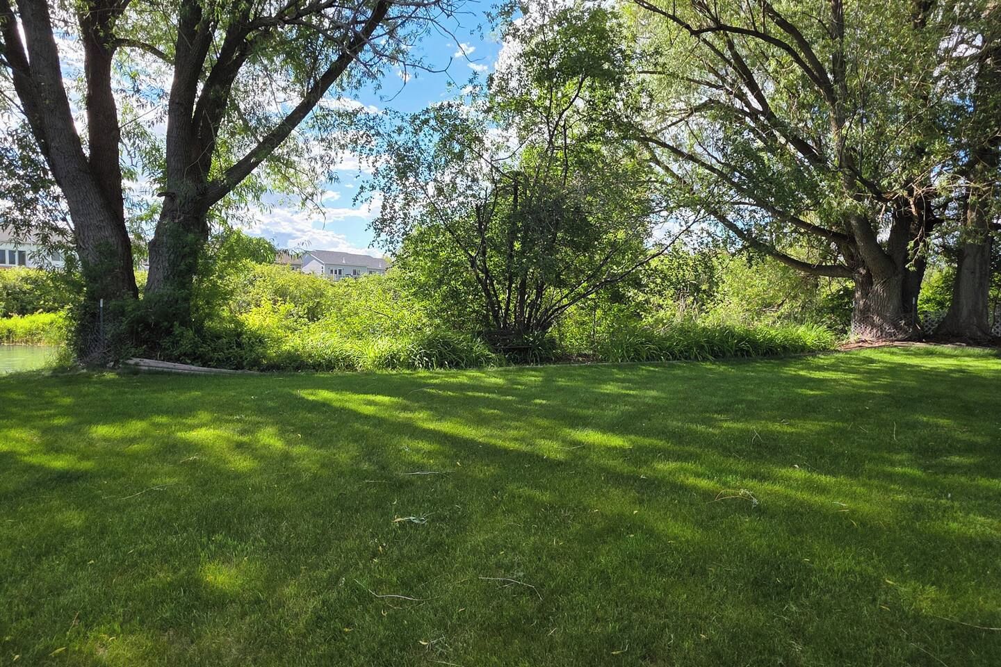 A grassy outdoor area with trees and a building in the background.