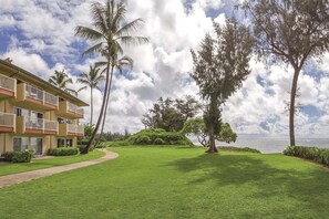 Un hôtel doté d’une pelouse, de palmiers et offrant une vue sur l’océan.