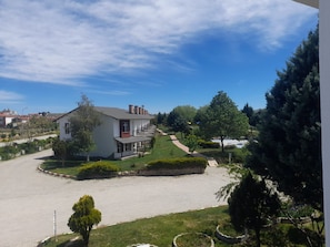 Zona residencial con una casa blanca, camino de entrada pavimentado y abundante vegetación.