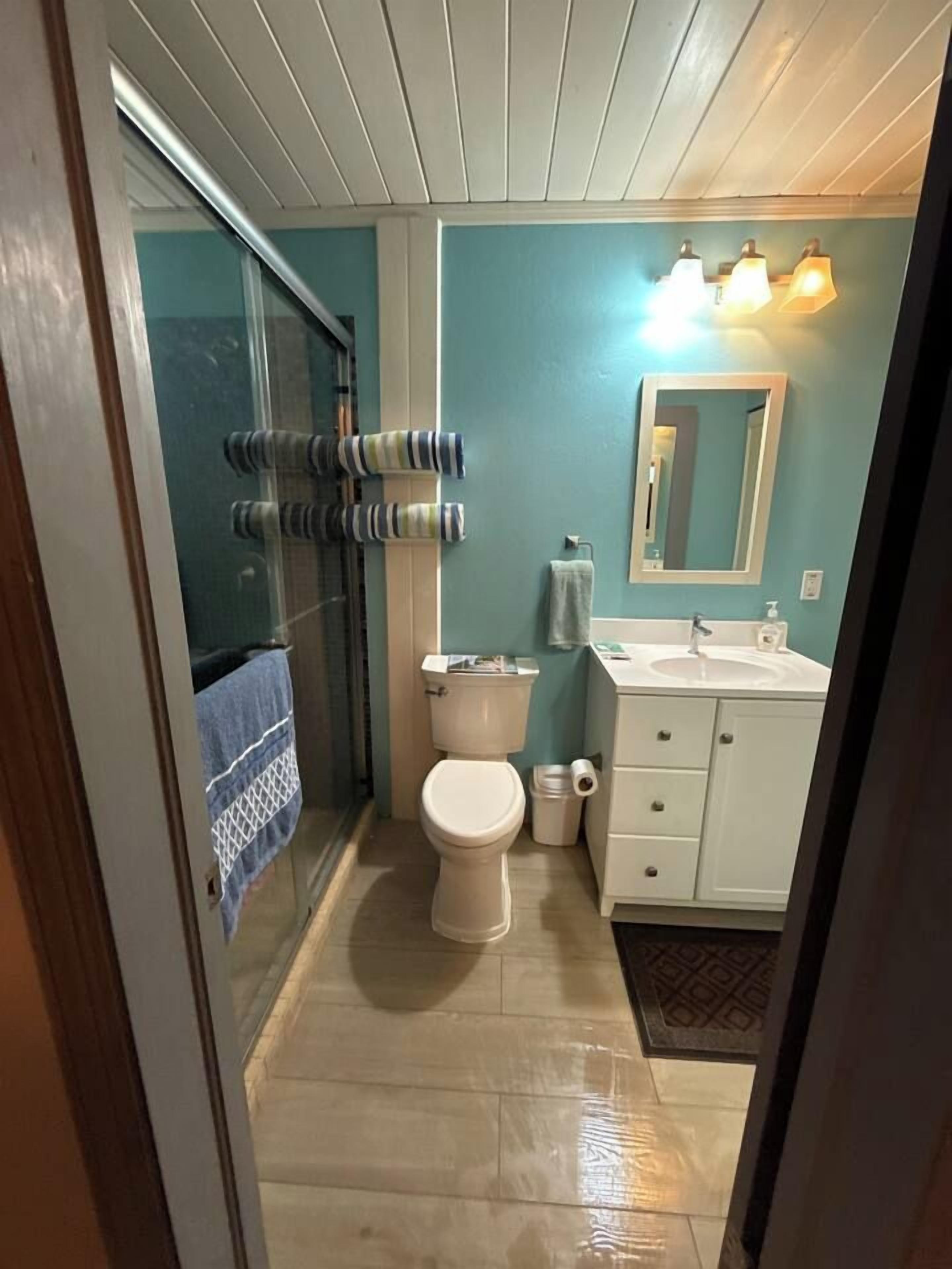 A bathroom with a toilet, sink, and shower area.
