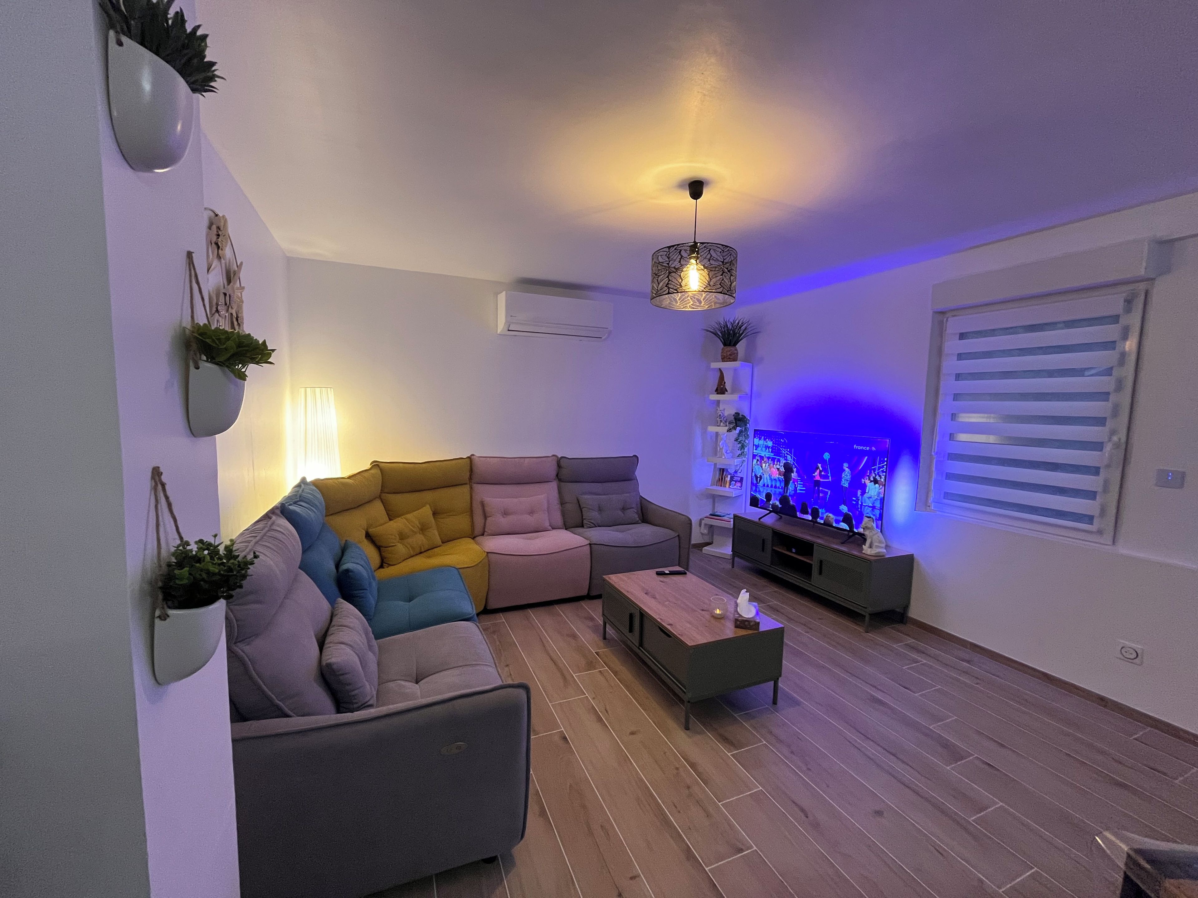 A living room with a sectional sofa, a coffee table, a TV, and decorative plants.
