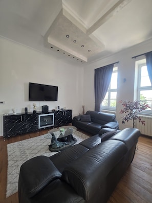 A modern living room with a black leather sofa, a marble black console, a flat-screen TV, and a potted plant. - Elegant Historic Apartment in the Heart of Vršac! (Vršac)