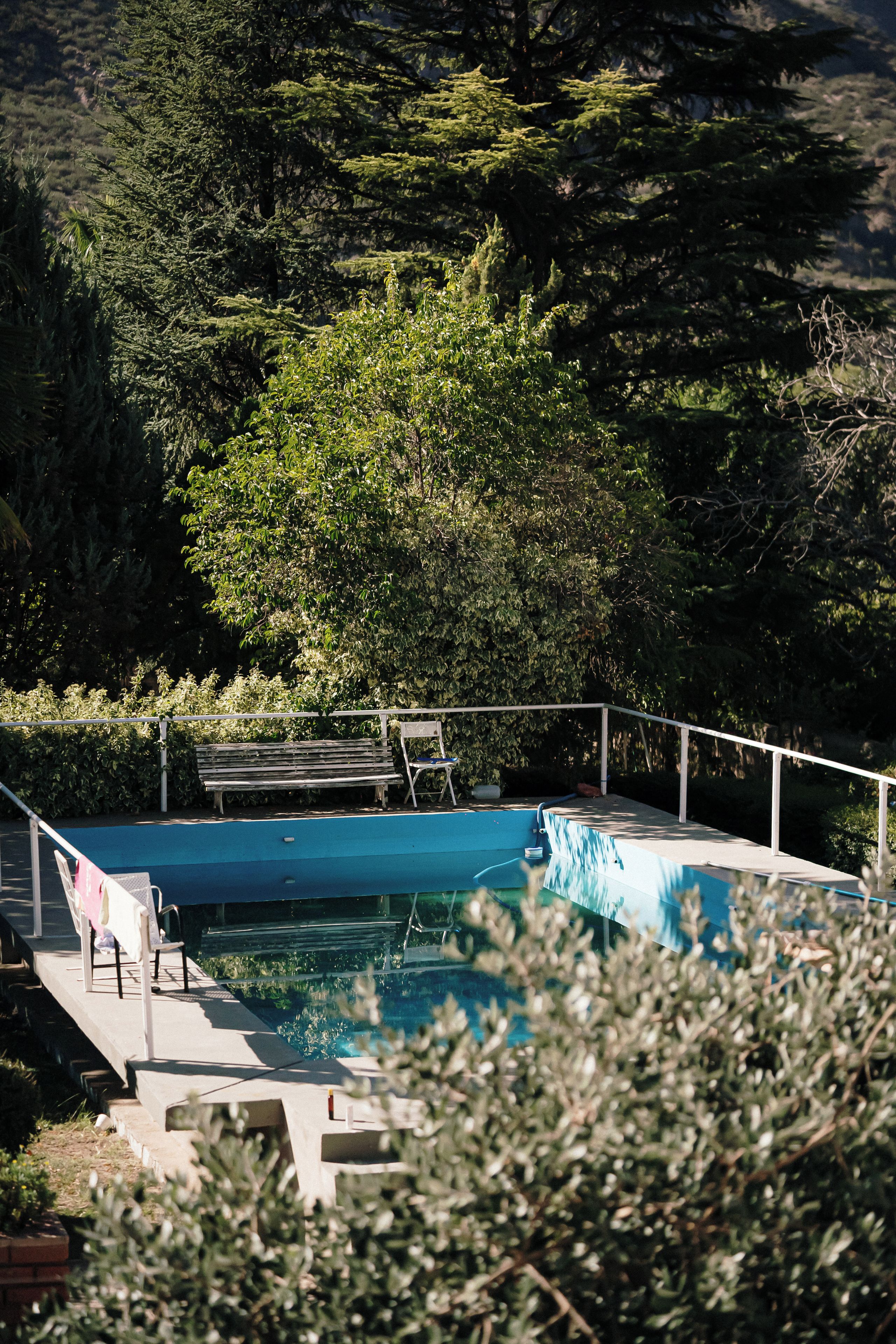 Une piscine avec un banc et une chaise, entourée de verdure.