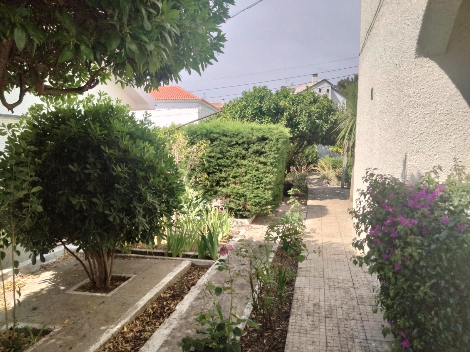 Ein gepflasterter Weg führt zu einem Gebäude mit weißer Fassade und rotem Dach.