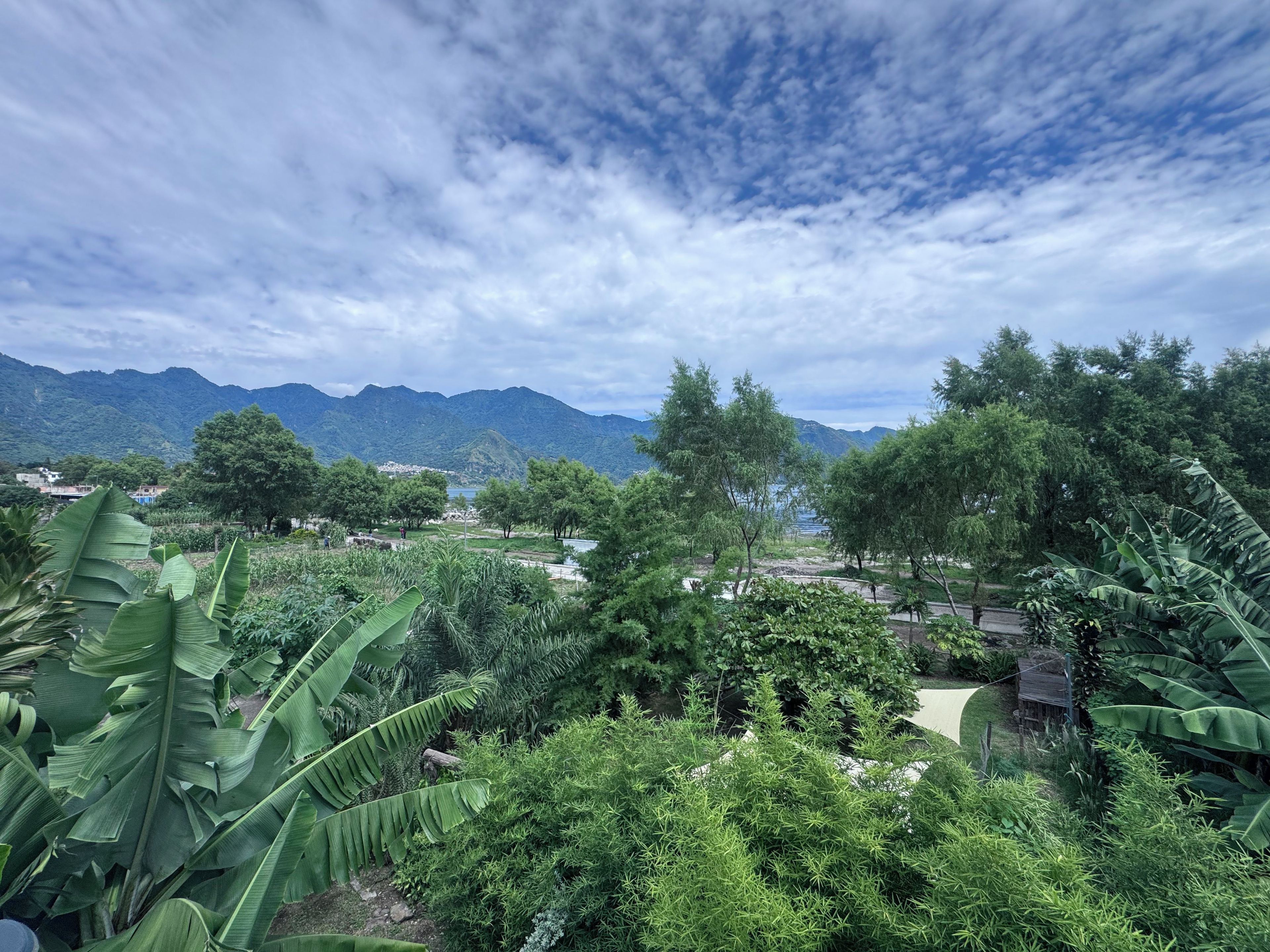 Un paisaje exuberante con montañas al fondo, vegetación densa y cielo despejado.