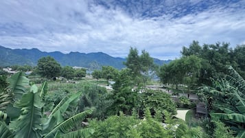 Üppige Landschaft mit Bergen im Hintergrund, dichtem Grün und blauem Himmel.