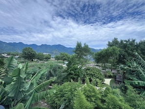 Un paisaje exuberante con montañas al fondo, vegetación densa y cielo despejado.
