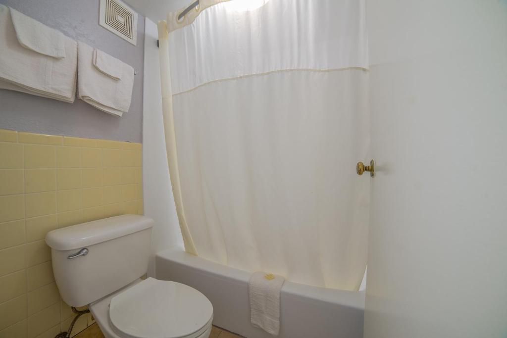 A bathroom with a toilet, a bathtub, and a shower curtain.