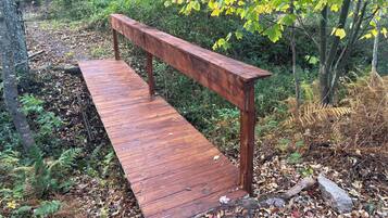 Un banc en bois situé dans une zone boisée, à proximité d’un sentier de terre.