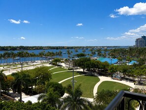 Blick auf die Küste mit einem Hafen, Palmen und blauem Himmel.