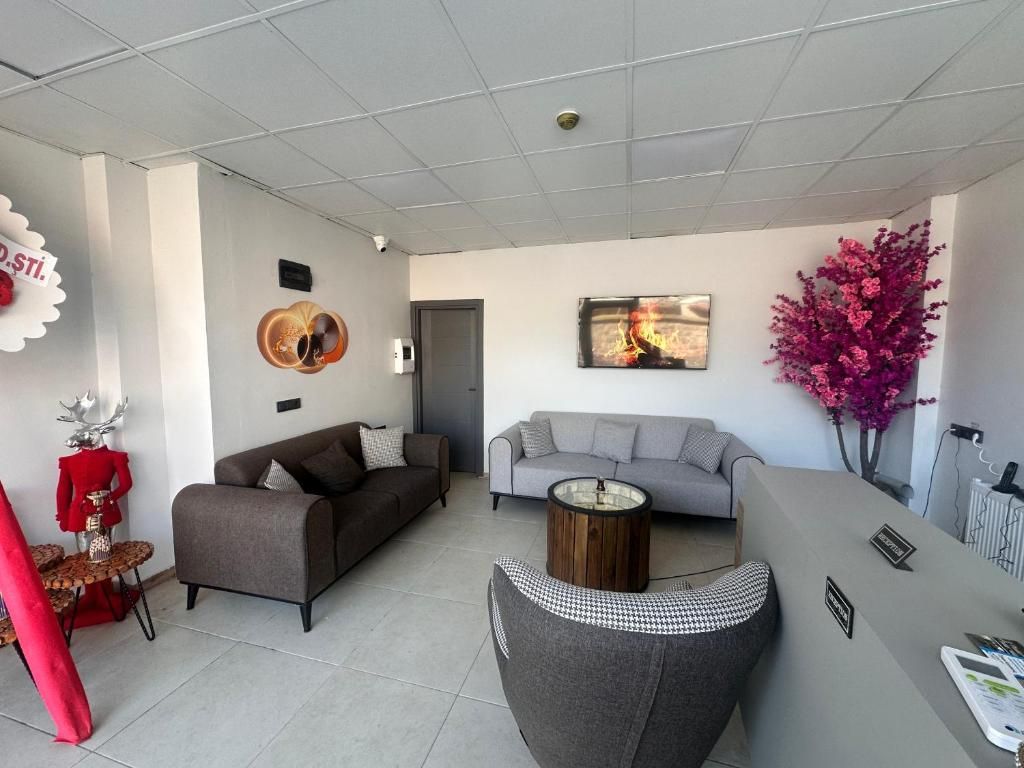 A modern living room with two sofas, a coffee table, and a decorative plant.