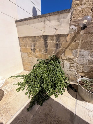 Een potplant op een balkon, met een stenen muur en een helderblauwe lucht op de achtergrond.