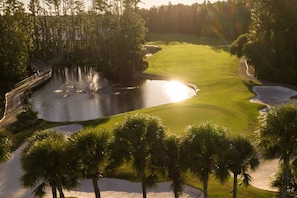 A golf course with a pond, palm trees, and a bridge. - Corner Condo Retreat | 1st Floor | Walk-Out Patio | Optional Saddlebrook Resort Amenities (Wesley Chapel)