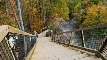 A wooden staircase with metal railings leading up a hill, surrounded by trees with autumn foliage.