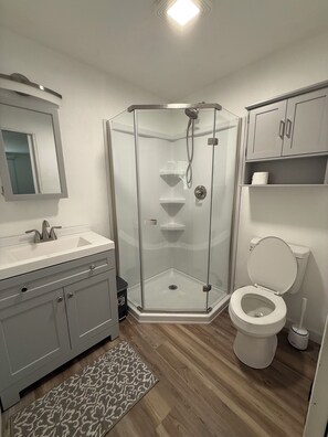 A bathroom with a glass shower enclosure, a toilet, a sink, and a mirror. - Serene 2-bedroom apartment in welcoming Port Hadlock neighborhood, Starlink WiFi (PORT HADLOCK)