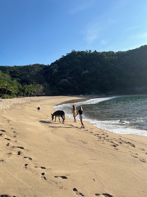 Ein Strand mit Fußspuren, einem Esel und zwei Personen, die am Ufer entlanggehen.