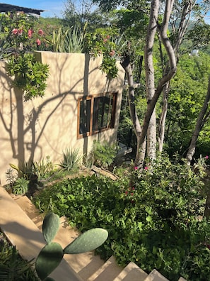 A garden with a cactus, various plants, and a building with a window. - Luxury Villa Xololo on the secluded beach of La Boquilla, Oaxaca, Pacific Coast (San Pedro Pochutla)