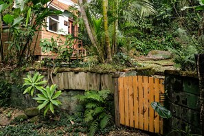A wooden house surrounded by dense tropical vegetation, including large-leafed plants and ferns.