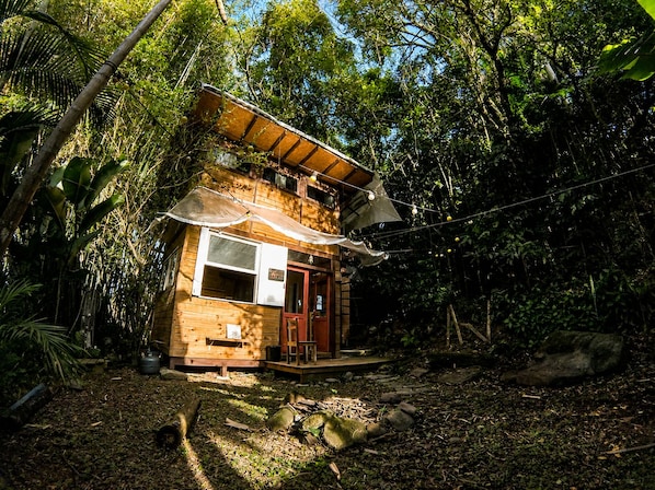 A rustic wooden cabin with a porch, surrounded by dense foliage.