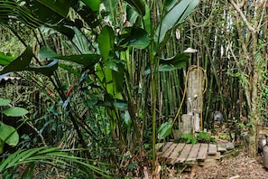 A lush garden with dense foliage, a wooden structure, and a bamboo fence.