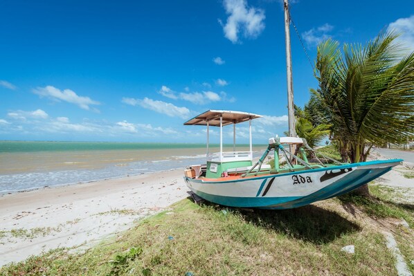 A boat with the number 20a on a beach, a palm tree, and a clear blue sky.
