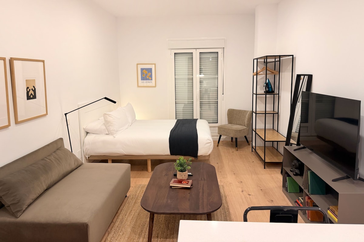 A modern bedroom with a bed, a sofa, a TV, and a bookshelf.