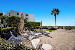 A patio area with lounge chairs and umbrellas, a palm tree, and a view of the ocean. - Sea Oats 336 | 2BR/2BA Boca Grande Gulf View (Boca Grande)