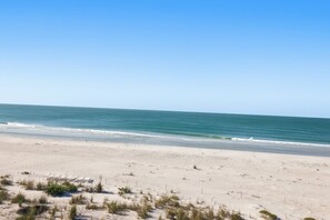 A beach with a clear sky, calm sea, and sparse vegetation. - Sea Oats | Feel the Gulf Breezes, Escape the Everyday & Rediscover the Joy of Island Living (Boca Grande)