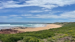 A coastal landscape with a sandy beach, rocky outcrops, and green hills. - Nature's Gate - Cottage (Newhaven)