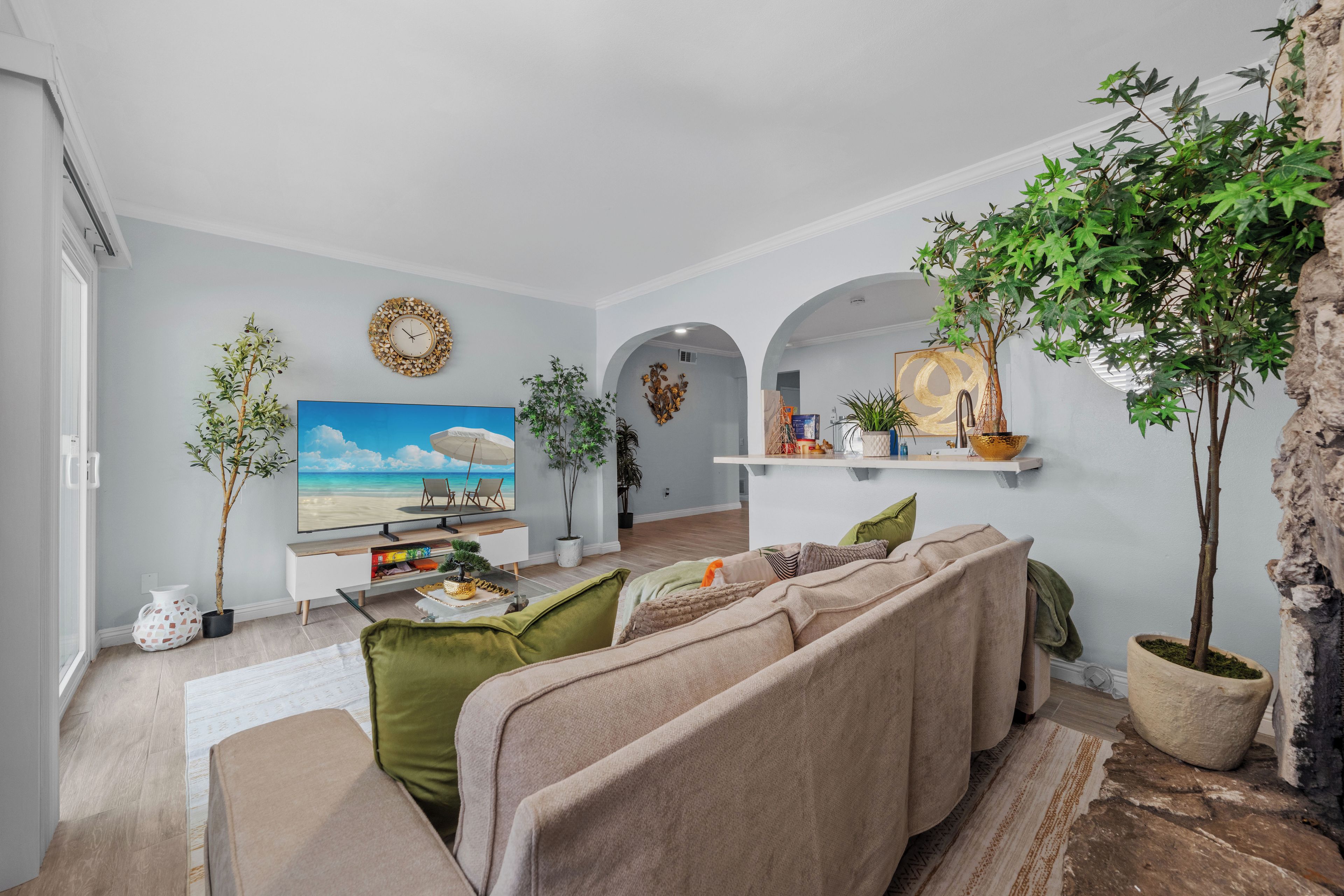 A living room with a sofa, television, decorative plants, and a view of the beach.