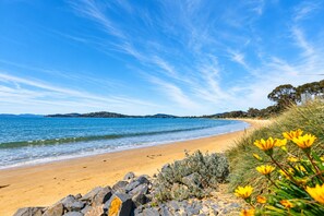 Une plage avec un ciel dégagé, un rivage sablonneux et quelques plantes.