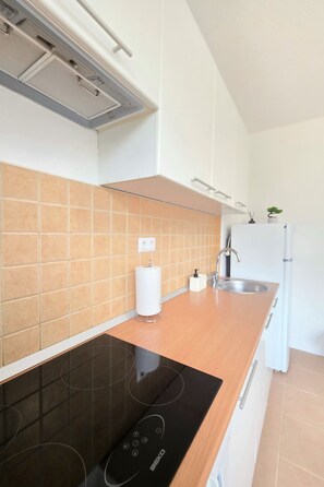 Una cocina moderna con una placa de inducción negra, un lavamanos de acero inoxidable y un refrigerador blanco.