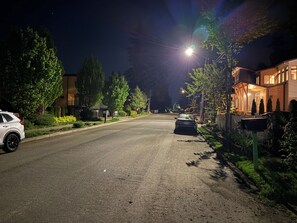 Calle residencial de noche con casas a ambos lados, farolas y coches estacionados.