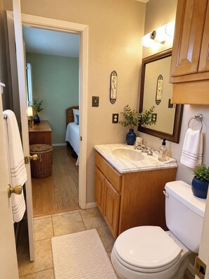 Een badkamer met toilet, wastafel en spiegel. Er is een houten kastje en een plant op de wastafel.
