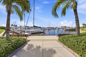 Un port esportiu amb vaixells amarrats, un cel serè i palmeres.