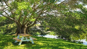 Una mesa de picnic bajo un árbol grande junto a un lago tranquilo.