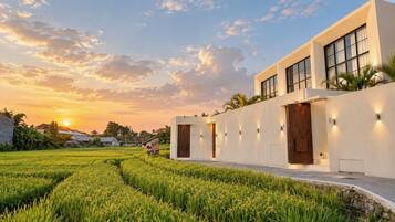 A modern building with large windows and a pathway leading to the entrance.