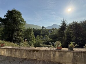 A concrete ledge with potted plants, a hillside with trees, and a mountain in the background. - CONDOU - LOURDIOS ICHERE (LOURDIOS ICHERE)