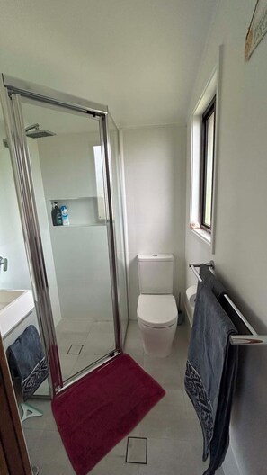 Ein Badezimmer mit Duschabtrennung aus Glas, einer weißen Toilette, einem Waschbecken und einem Handtuchhalter.