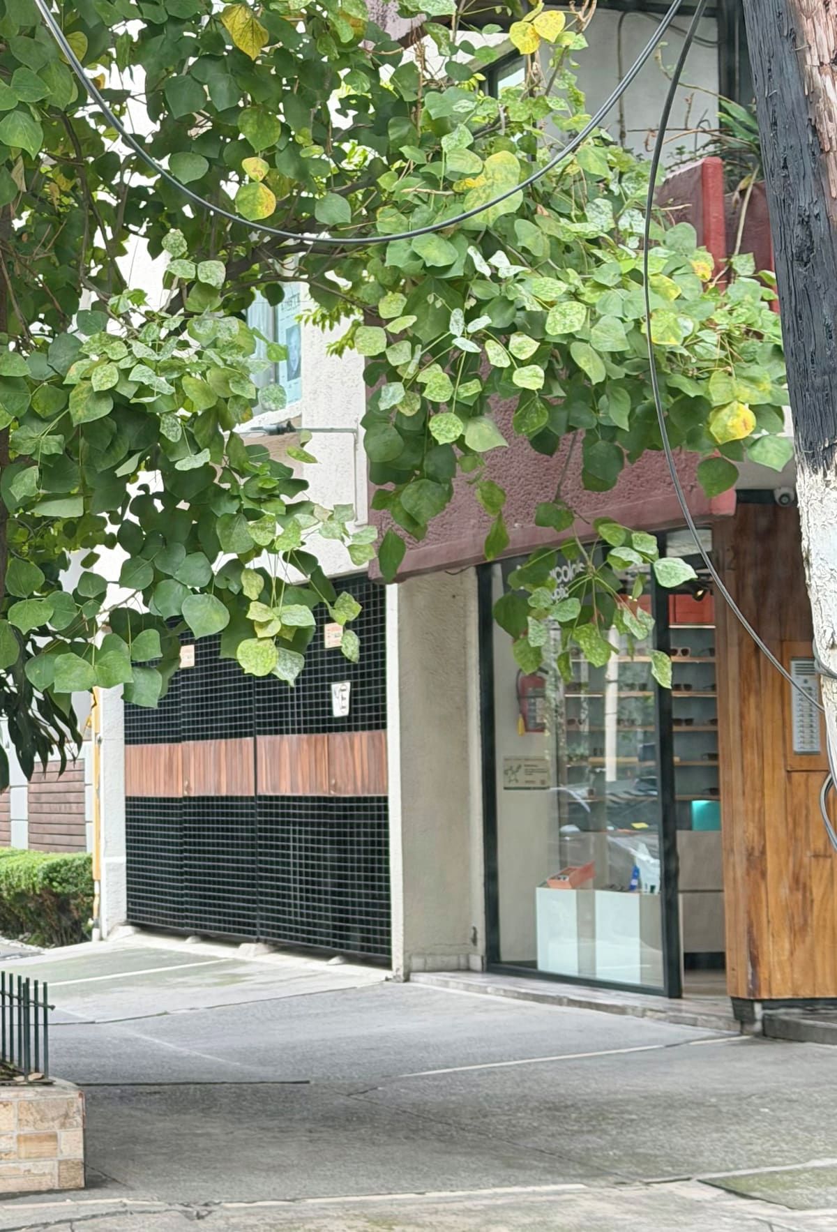A building with a glass door entrance, a metal gate, and a tree with green leaves.