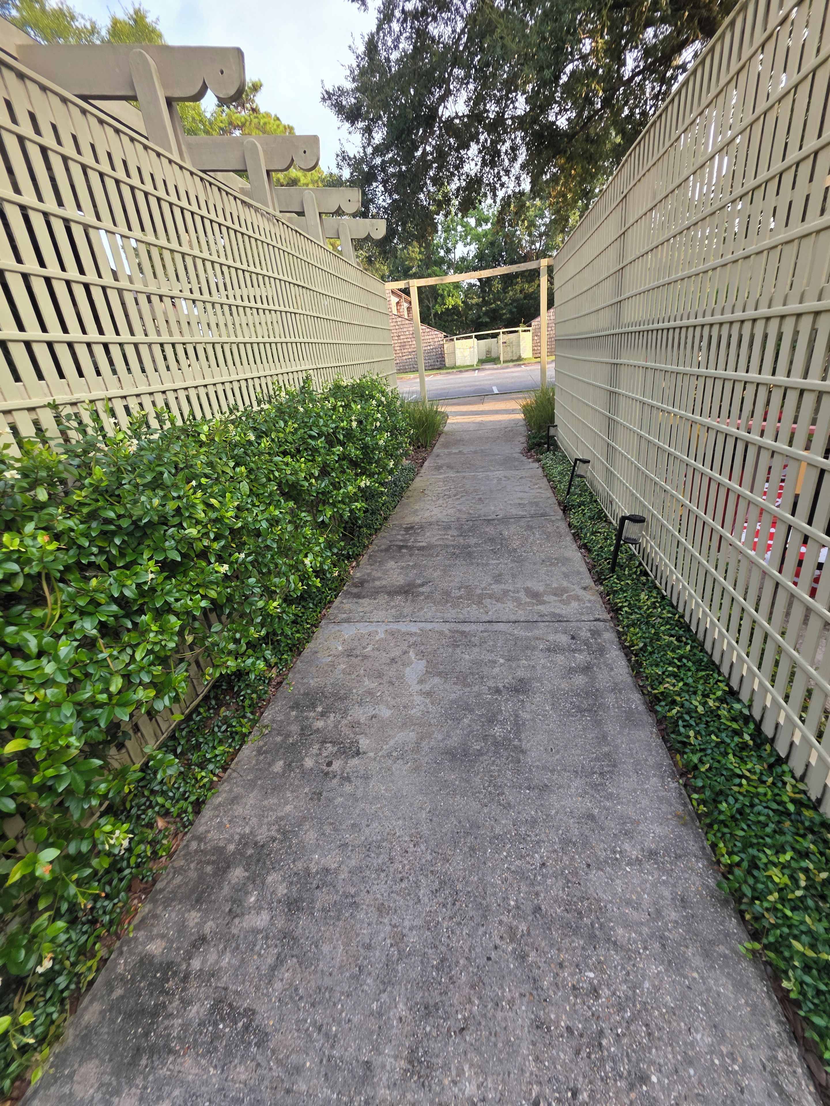 A concrete pathway flanked by green hedges and a beige fence.