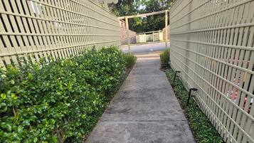 A concrete pathway flanked by green hedges and a beige fence.