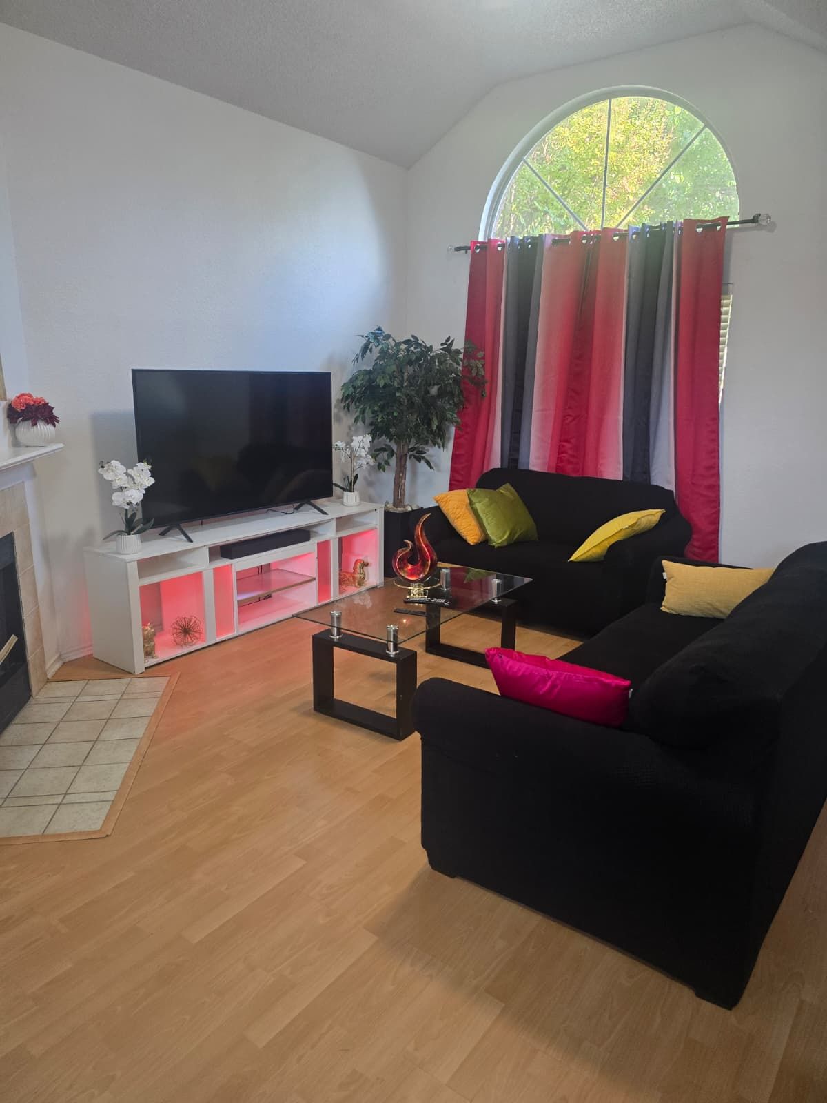 A living room with a black sofa, a flat-screen TV, a potted plant, and a window with curtains.