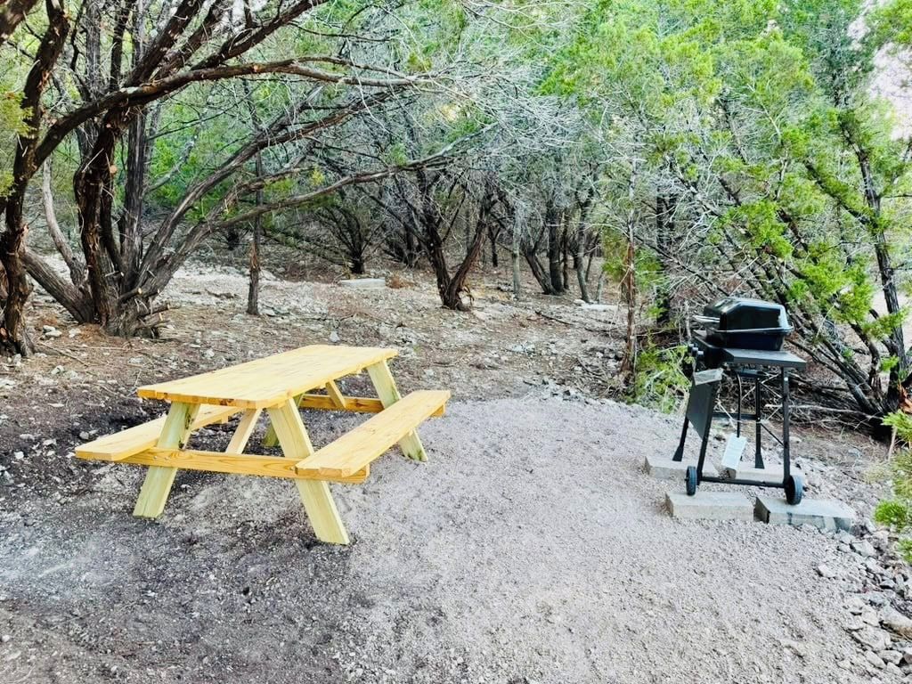A picnic table and grill set in a natural, wooded area.