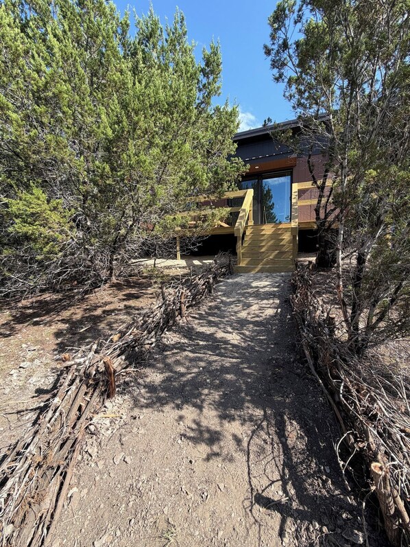 A rustic cabin with a wooden deck, surrounded by dense pine trees.